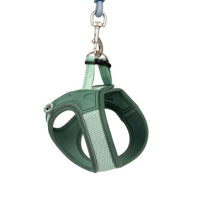Matrix 2.0 Air Vest Köpek Göğüs Tasması - Jade