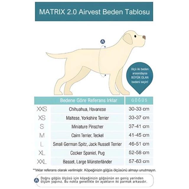 Matrix 2.0 Air Vest Köpek Göğüs Tasması - Rose