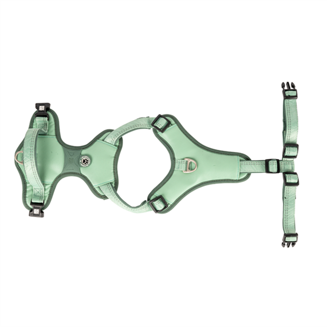 Matrix 2.0 Akıllı Künyeli Sport Köpek Göğüs Tasması - Jade