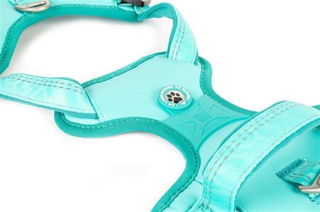 Matrix 2.0 Akıllı Künyeli Sport Köpek Göğüs Tasması - Turkuaz