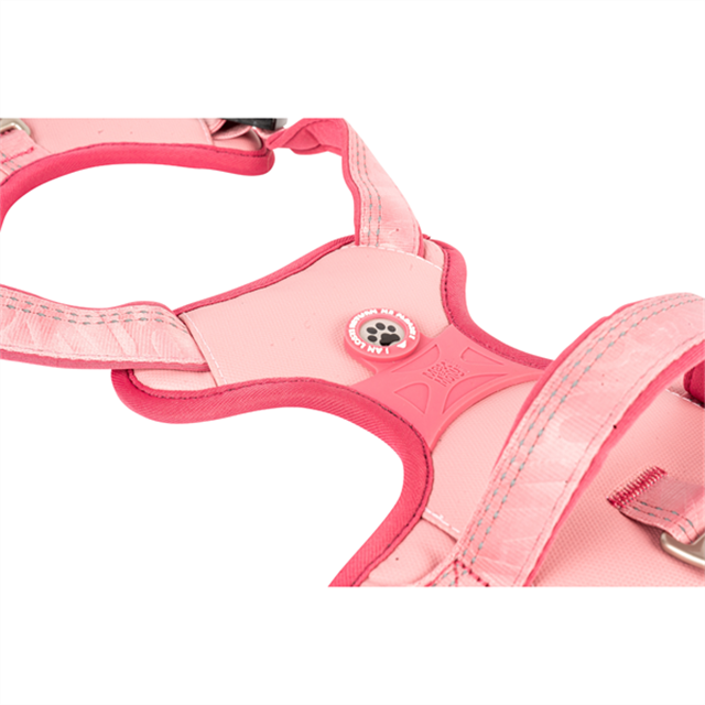 Matrix 2.0 Akıllı Künyeli Sport Köpek Göğüs Tasması - Rose