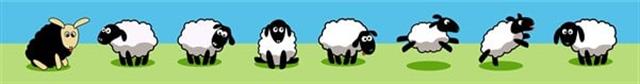 Max & Molly Black Sheep Anahtarlık