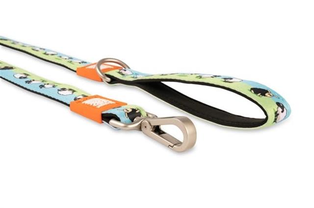 Max & Molly Black Sheep Köpek Gezdirme Kayışı