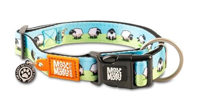 Max & Molly Black Sheep Smart ID Köpek Boyun Tasması