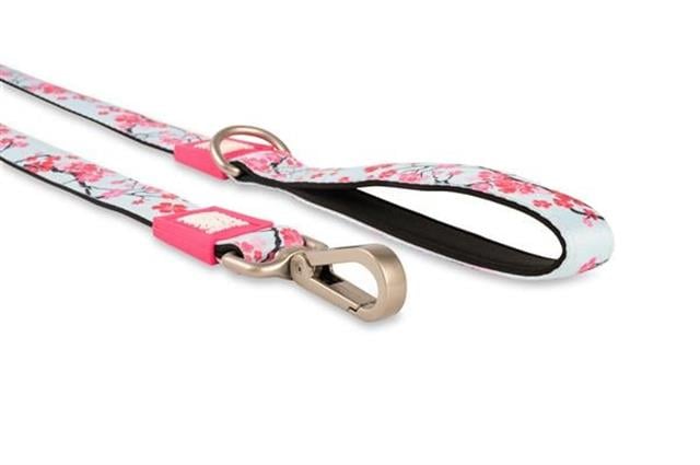 Max & Molly Cherry Bloom Köpek Gezdirme Kayışı