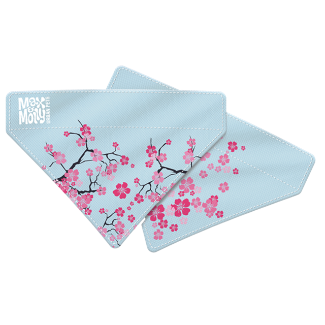 Max & Molly Cherry Blossom Bandana