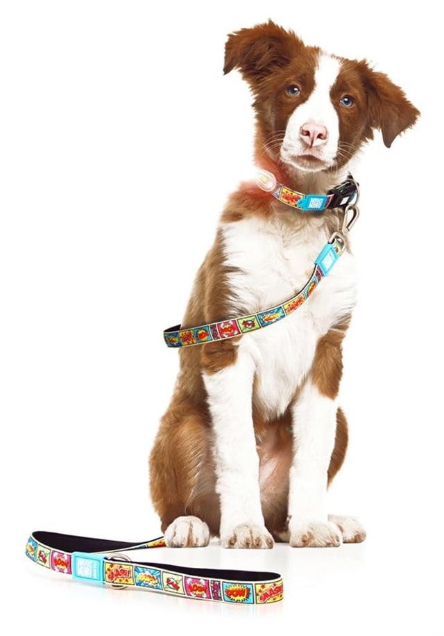 Max & Molly Comic Köpek Gezdirme Kayışı