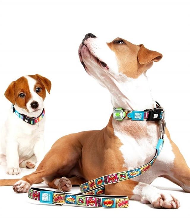Max & Molly Comic Smart ID Köpek Boyun Tasması