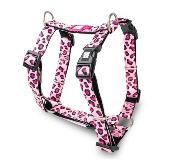 Max & Molly Leopard Pink Köpek Göğüs Tasması
