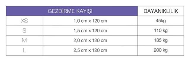 Max & Molly Matrix Orange Köpek Gezdirme Kayışı