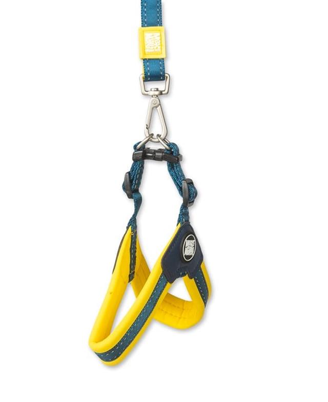 Max & Molly Matrix Yellow Q-Fit Köpek Göğüs Tasması