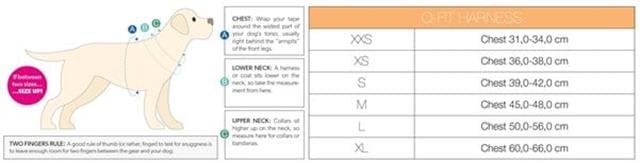 Max & Molly Matrix Yellow Q-Fit Köpek Göğüs Tasması