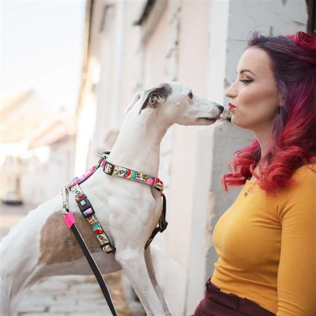 Max & Molly Missy Pop Köpek Göğüs Tasması