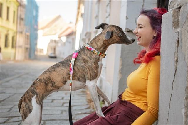 Max & Molly Missy Pop Smart ID Köpek Boyun Tasması