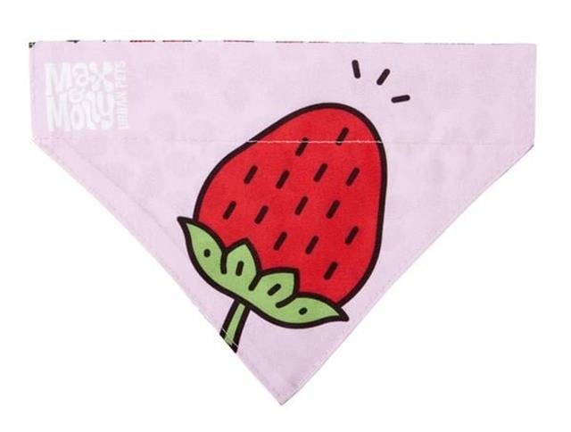 Max & Molly Strawberry Dream Bandana