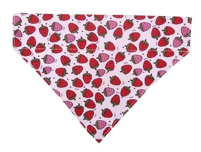 Max & Molly Strawberry Dream Bandana