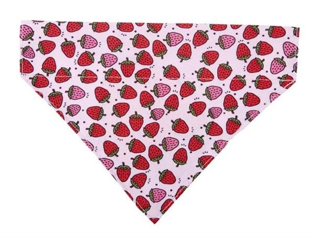 Max & Molly Strawberry Dream Bandana