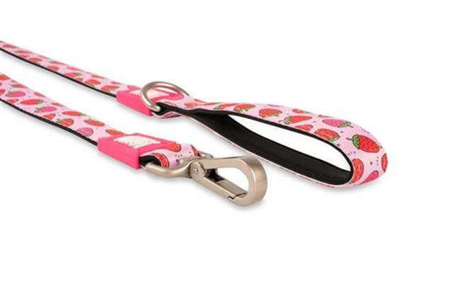 Max & Molly Strawberry Dream Köpek Gezdirme Kayışı