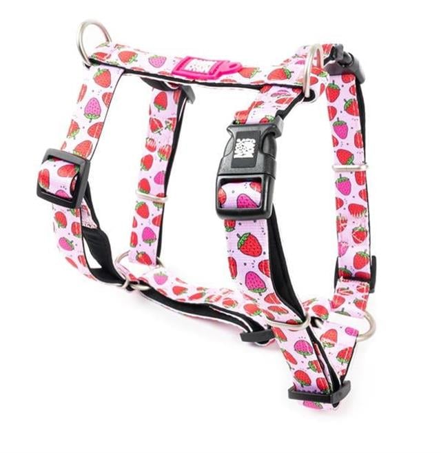 Max & Molly Strawberry Dream Köpek Göğüs Tasması