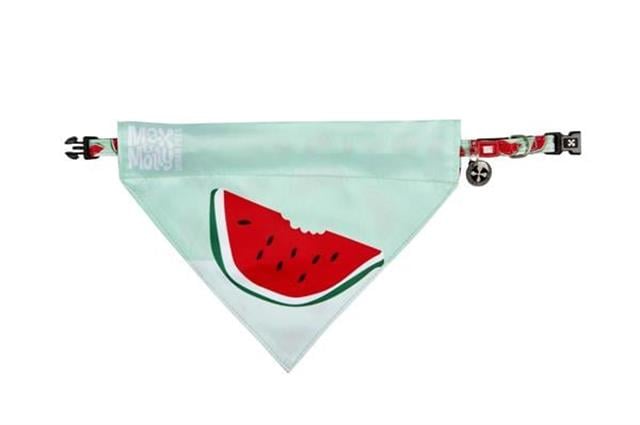 Max & Molly Watermelon Bandana
