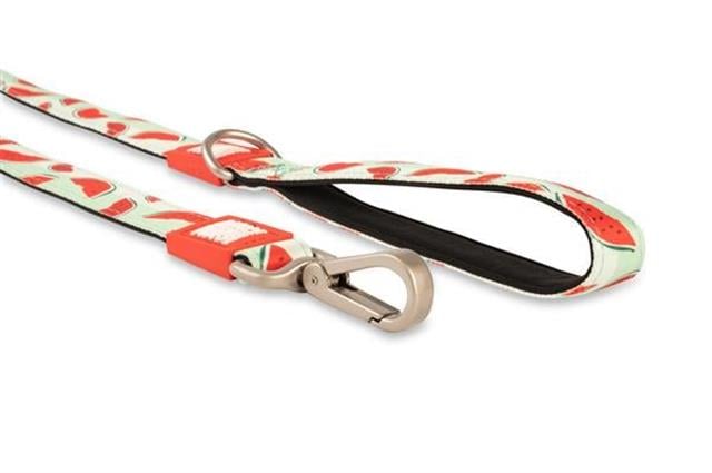 Max & Molly Watermelon Köpek Gezdirme Kayışı