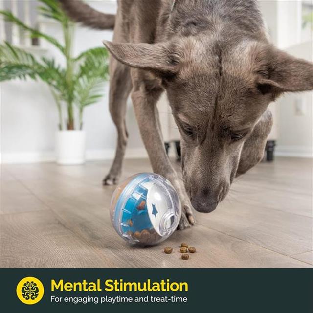 Pet Zone IQ Treat Ball Kedi ve Köpek Ödül Topu (7.5 cm)