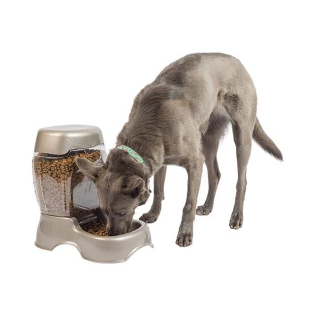 Petmate Cafe Hazneli Mama Kabı (5.5 Kg)