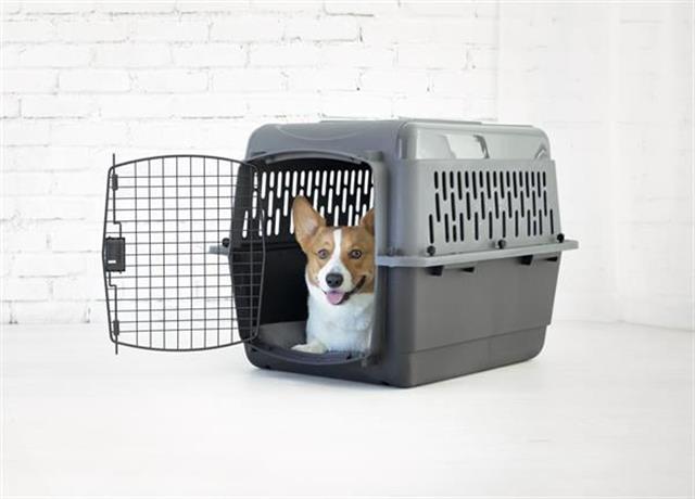 Petmate Pet Porter Köpek Taşıma Kafesi No:4 (72x52x55cm)