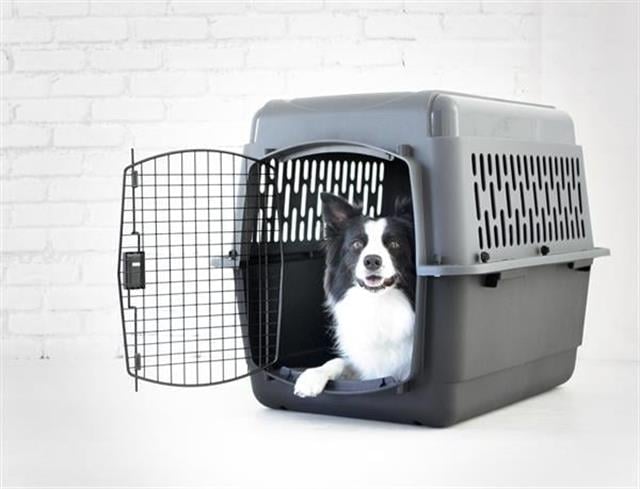 Petmate Pet Porter Köpek Taşıma Kafesi No:5 (82x58x61cm)