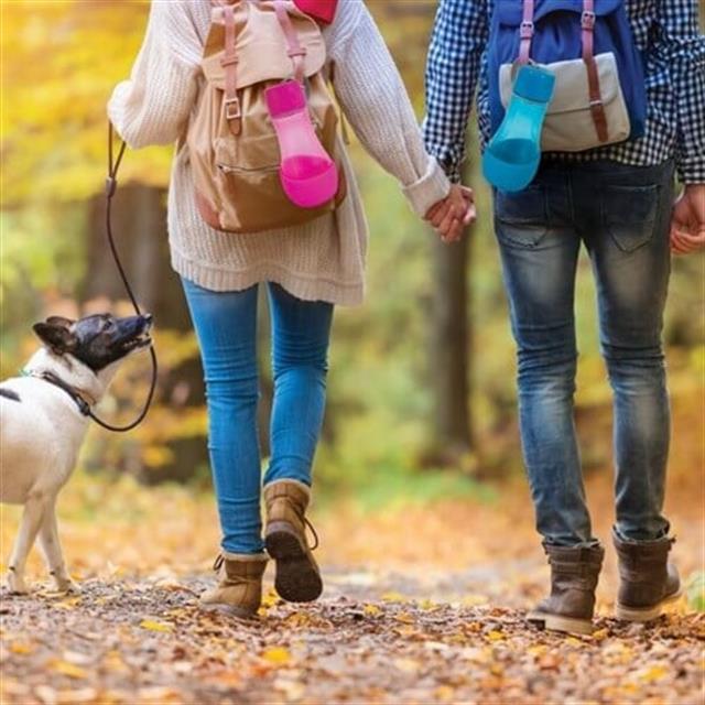 Petmate Replendish To-Go Seyahat Su Kabı
