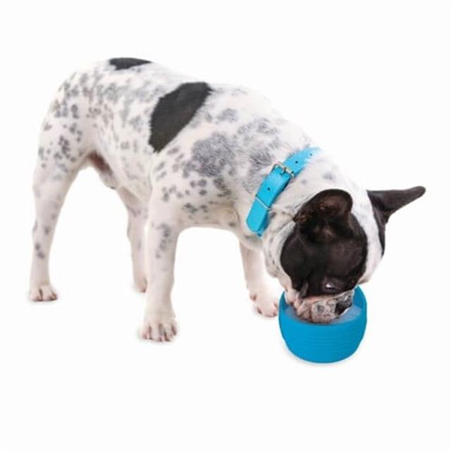 Petmate Replendish To-Go Seyahat Su Kabı