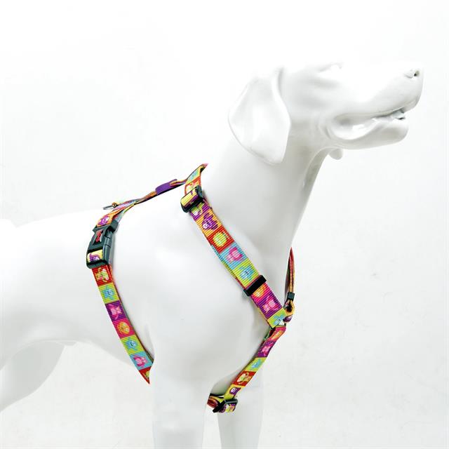 Tailpetz Alliens H-Harness
