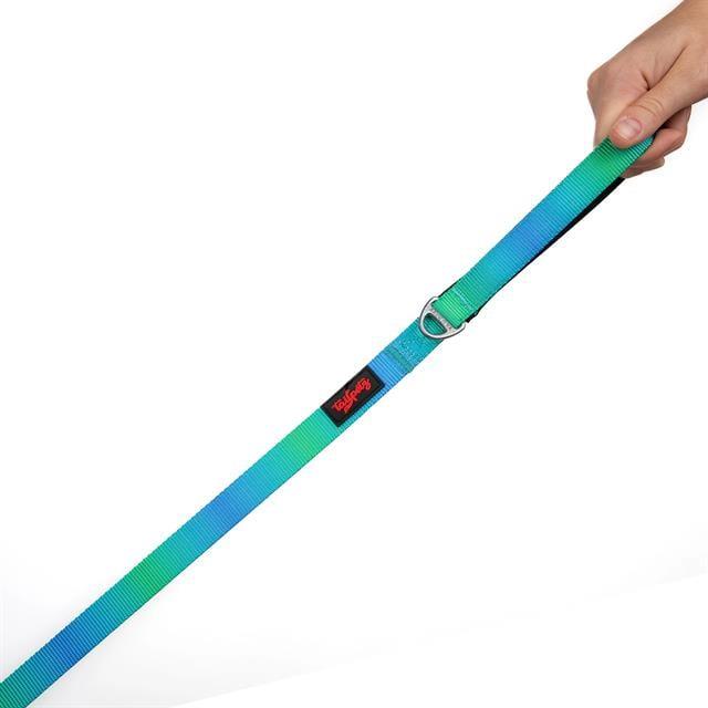 Tailpetz Amazon Leash
