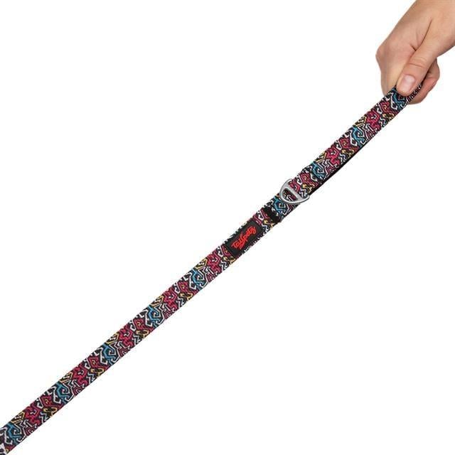 Tailpetz Graffiti Leash