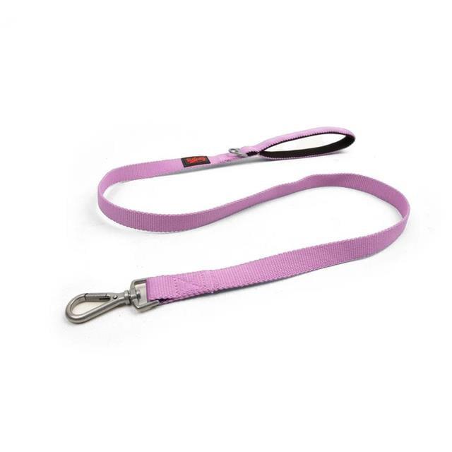 Tailpetz Lila Match Leash