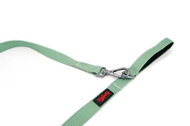 Tailpetz Match Leash Moon Yeşil