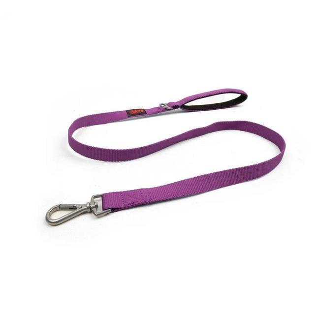 Tailpetz Match Leash Mor
