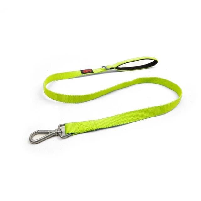 Tailpetz Match Leash Neon Lime