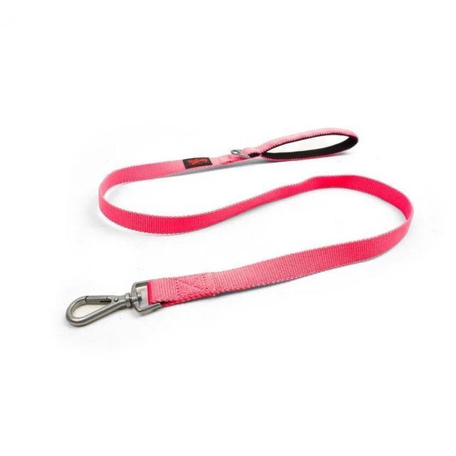 Tailpetz Match Leash Neon Pink
