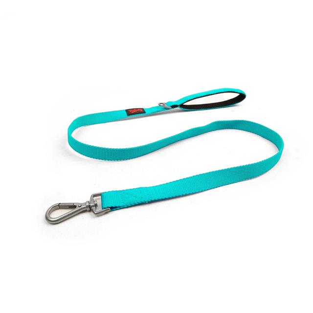 Tailpetz Match Leash Ocean