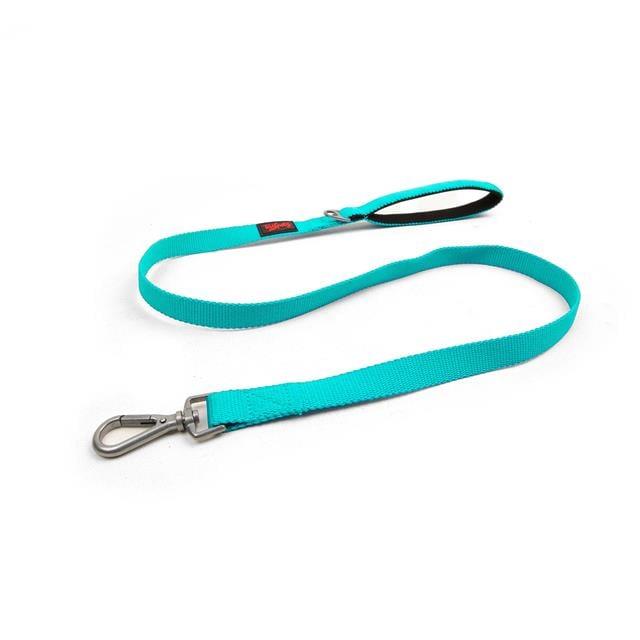 Tailpetz Match Leash Ocean