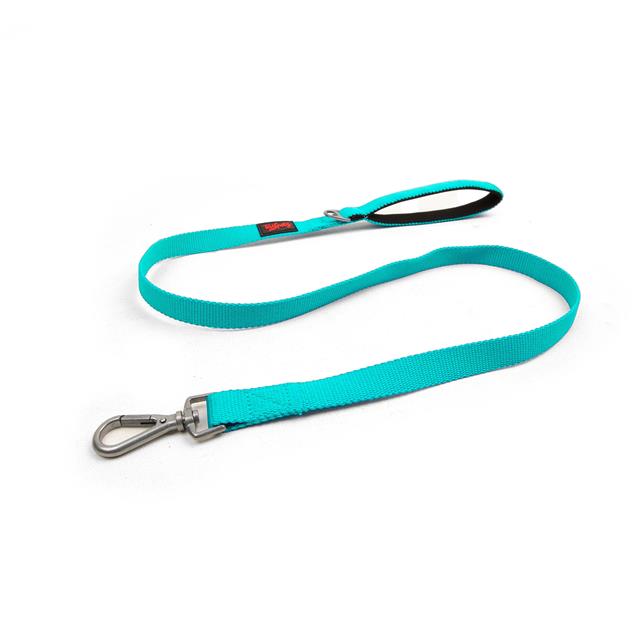 Tailpetz Match Leash Ocean