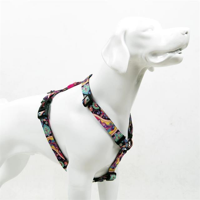 Tailpetz Paisley H-Harness