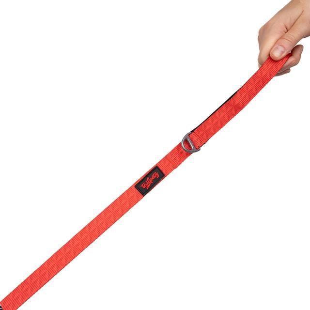Tailpetz Prism Leash