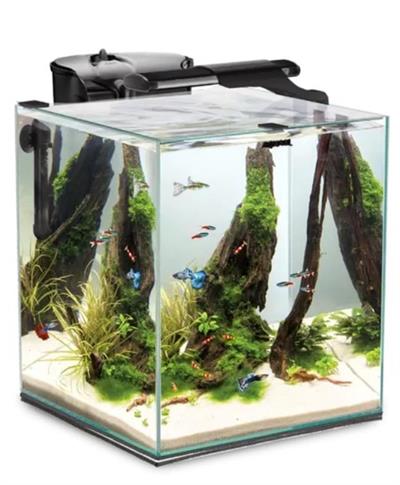 Aquael Fish&Shrimp Akvaryum Seti Smart Duo 35 Beyaz