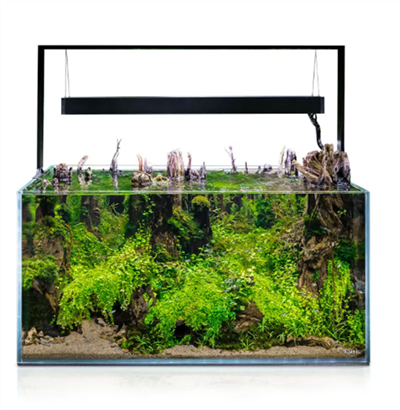 Aquael Ultrascape 90 Forest Set
