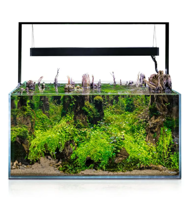 Aquael Ultrascape 90 Forest Set