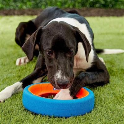 Chuckit! Fetch Wheel Oyun Halkası (Küçük Boy)