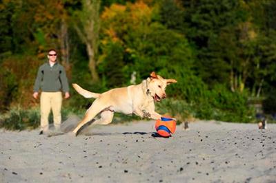 Chuckit! Kick Fetch Oyun Topu