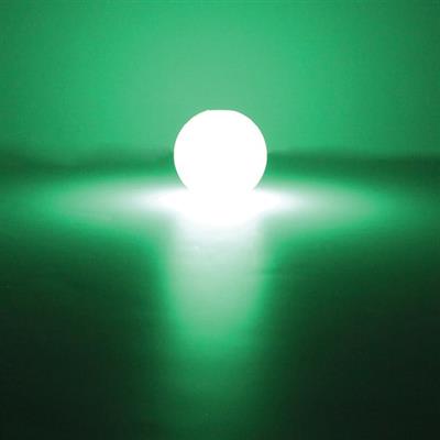 Chuckit! Max Glow Gece Parlayan Köpek Oyun Topu (Büyük Boy)